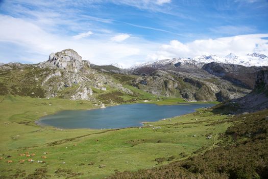 Ercina lake at Picos de Europa mountains in Cangas de Onis Asturias