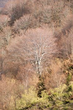 landscape at Picos de Europa mountains in Asturias