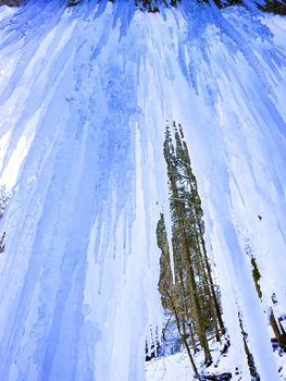 icicles above the frozen river