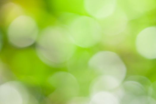 Detail of Green bokeh background