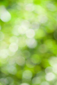 Detail of Green bokeh background