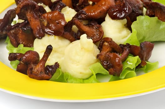 Roasted Chanterelles with Mashed Potato and Lettuce closeup on Yellow Plate