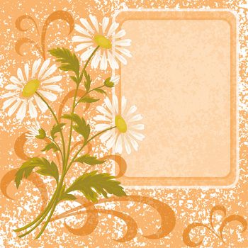 Floral holiday background with chamomile flowers and frame