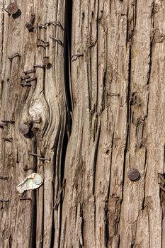 Worn Textured Telephone Pole Suitable for Background on Vertical