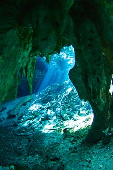 the entrance to gran cenote in tulum, mexico