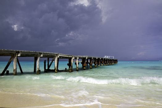 A tropical storm brews at sea over Cancun Mexico tree frog on red cup