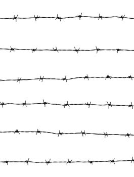 Barbed wires isolated on white background