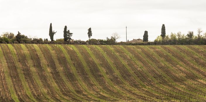 farmland and countryside in Chianti, Tuscany, Italy