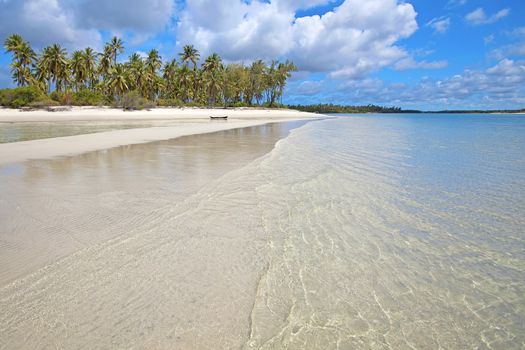 Untouched nature at Mafia Island in Tanzania