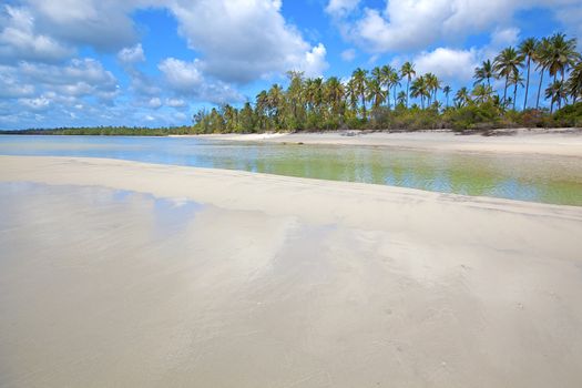 Untouched nature at Mafia Island in Tanzania