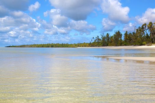 Untouched nature at Mafia Island in Tanzania