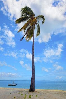 Untouched nature at Mafia Island in Tanzania