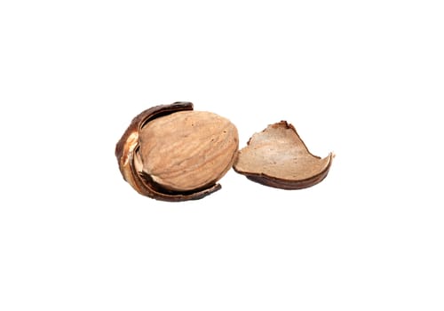 Whole nutmeg broken open, isolated on a white background