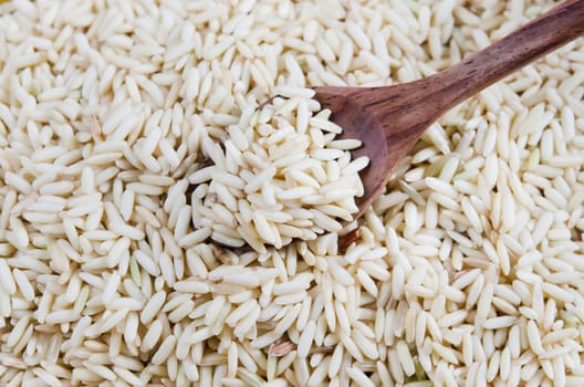 wooden spoon with  rice grains