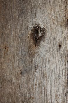 Wood texture background for design