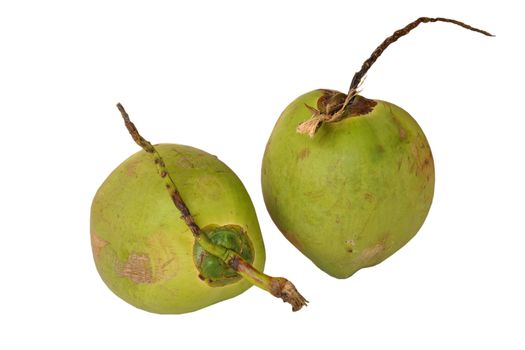 Coconuts on a white background