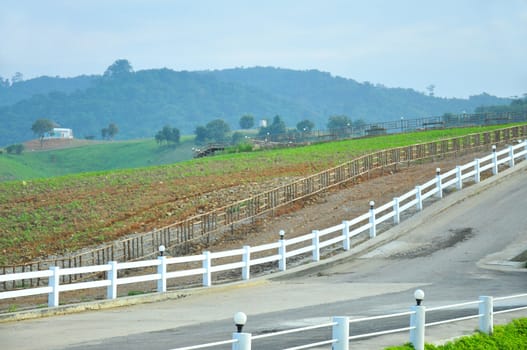 View at Wang Nam Kheo, Korat.