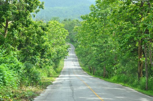 Rural road in Mae Hong Son.