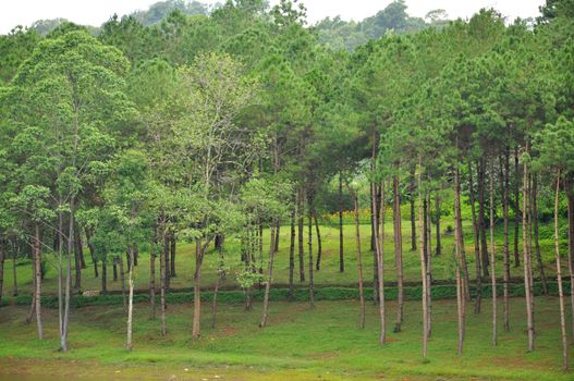 Pang Oung, Mae Hong Son Province, Thailand.