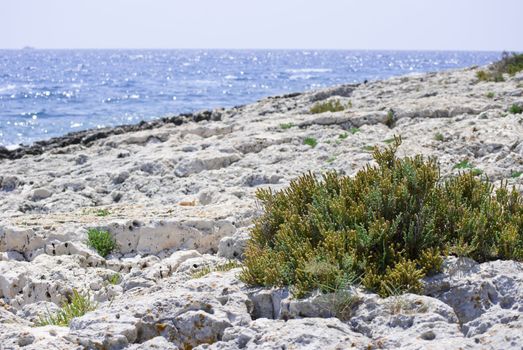 Croatian stony beach