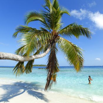 Woman splashing in sea near beautiful beach with palm