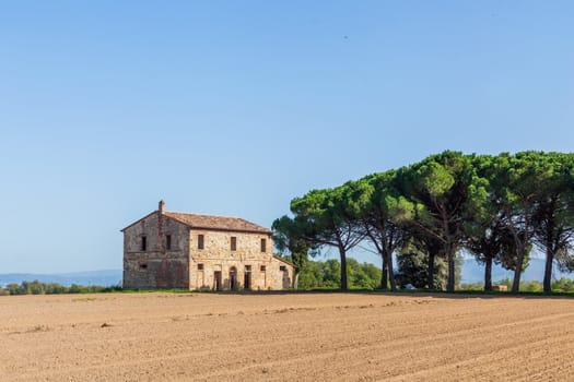 Typical beautiful Tuscan landscape-trees, grass, ski, villa. Italy