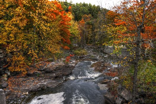 Forest river in the fall near Wakefield Mill