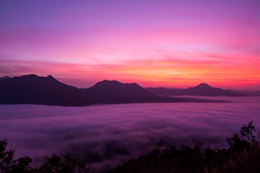 Landscape of fog.Early Morning Mist.