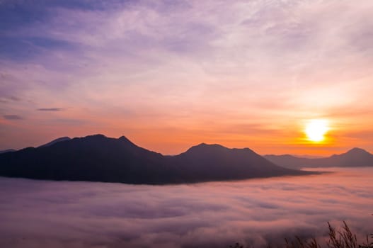 Landscape of fog.Early Morning Mist.