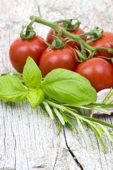 fresh herbs, tomatoes and garlic on old wooden background