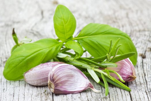 fresh garlic, rosemary and basil