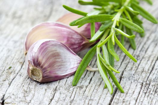 fresh garlic and rosemary