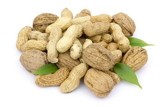 walnuts and peanuts on white