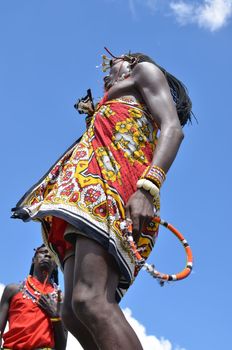 Village Masai Mara, Kenya - October 17, 2011: A yuong Masai welcomes tourists with the traditional jumping ceremony .