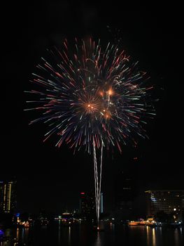 New year fireworks