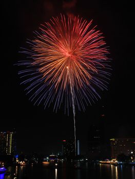 New year fireworks