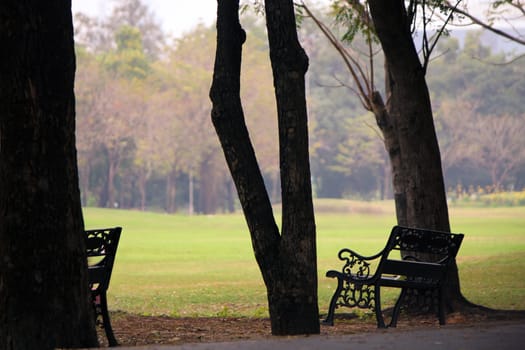 Bench in the park