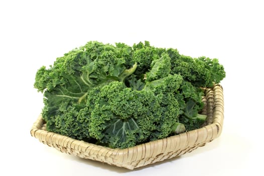 fresh green kale on a white background