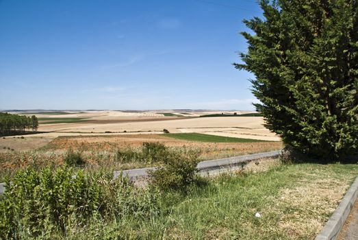 In areas around Madrid in Spain, is it big fields and meadows where it is cultivated all kinds of vegetables, fruits and grains. Picture shows a typical agricultural landscape in Spain.