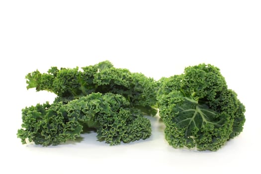 fresh green kale on a white background