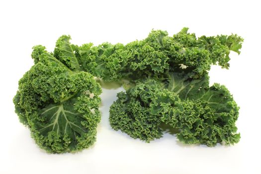 fresh green kale on a white background