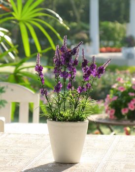 Plastic lavender flowers in flowerpot