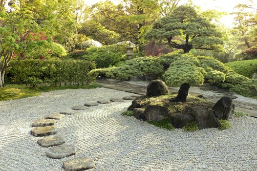 beautiful zen garden by summer morning