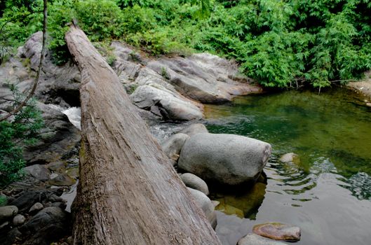 Path made from big log across pond at waterfall