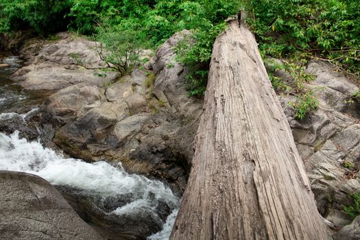 Path made from big log across pond at waterfall