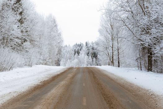 empty road through scenic winter forest