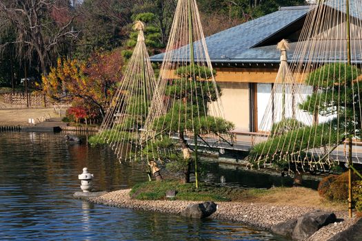 japanese garden background with pond, pine trees, small lantern and part of traditional house over water, Tokyo, Japan
