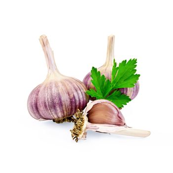 Two whole bulbs of garlic, one clove of garlic and parsley leaf isolated on white background