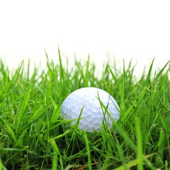 golf ball in the rough