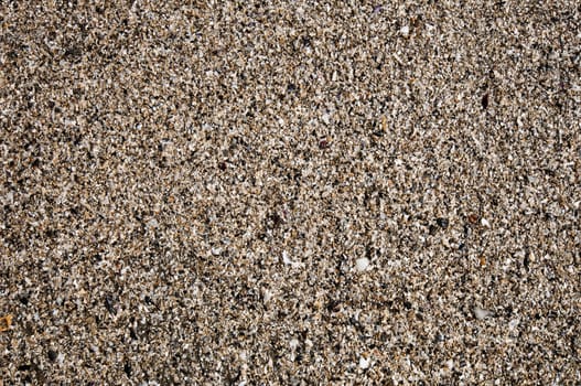 texture of sand on the beach, crushed shell texture